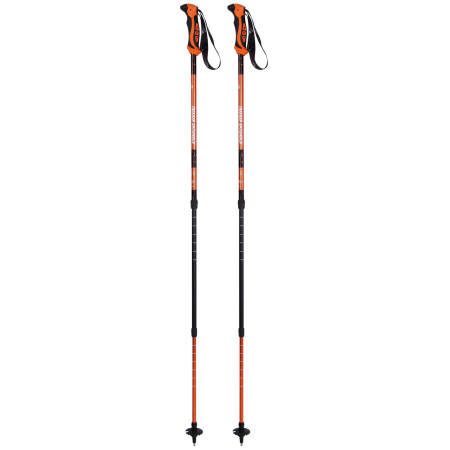 Bastoncini da trekking Zulu Trekker Antishock