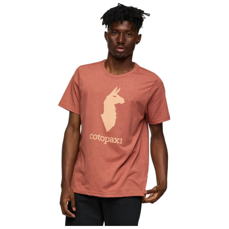 Maglietta da uomo Cotopaxi Cotopaxi Llama T-Shirt