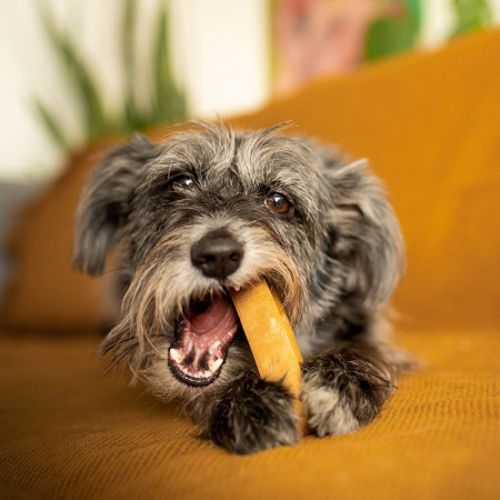 Giocattolo per cane Explorer Dog Himalayan Chew
