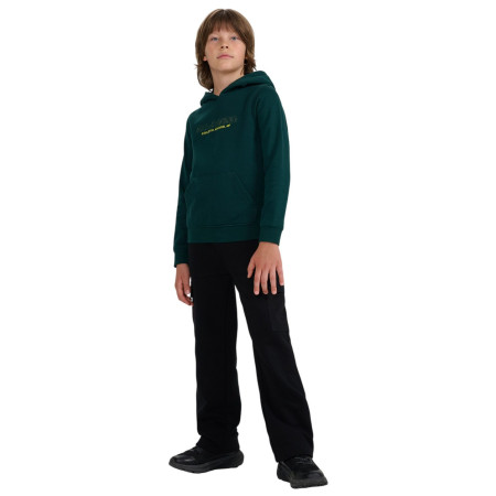 Felpa da bambino 4F Sweatshirt M1959