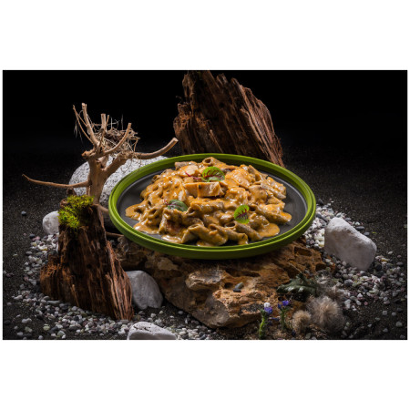 Cibo disidratato Adventure Menu Penne proteiche con farina di grilli con pollo nella salsa cremosa piccante