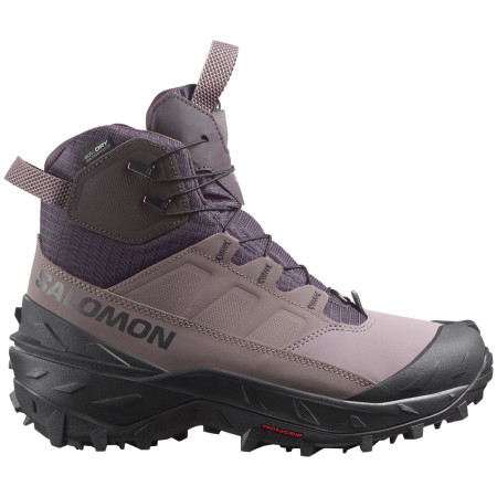 Stivali invernali da donna Salomon Crosstrak Powder Wp W marrone Nine Iron / Shark / Phantom