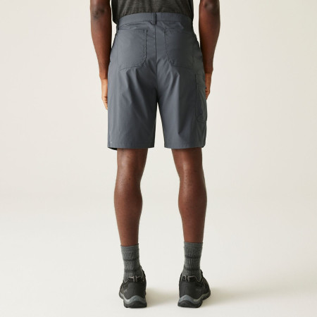 Pantaloncini da uomo Regatta Dalry Short