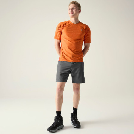 Pantaloncini da uomo Dare 2b Torrek II Short
