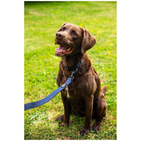 Guinzaglio per cane Mountain Paws Extra Tough Dog Lead