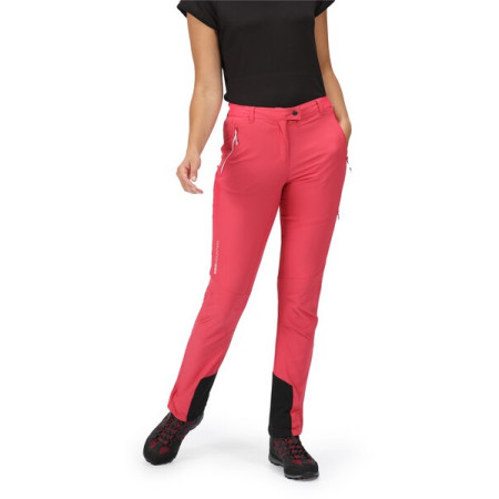 Pantaloni da donna Regatta Mountain Trs III