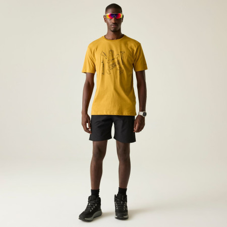 Maglietta da uomo Dare 2b Movement III Tee