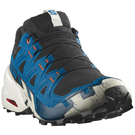 Scarpe da corsa da uomo Salomon Speedcross 6 Gore-Tex