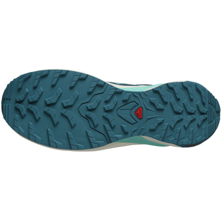 Scarpe da corsa da donna Salomon X-Adventure Gore-Tex