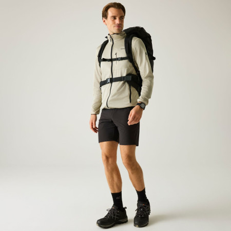 Felpa da uomo Regatta Hillden Midlayer