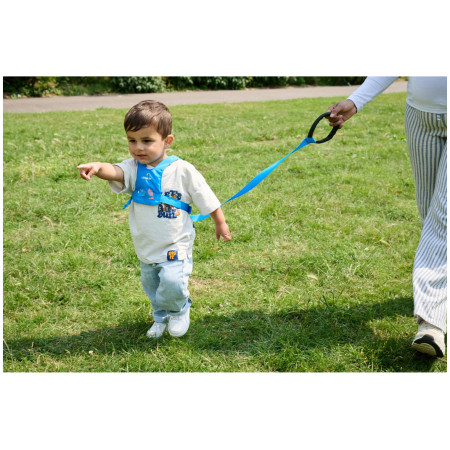 Redinelle di sicurezza LittleLife Toddler Reins Triceratops