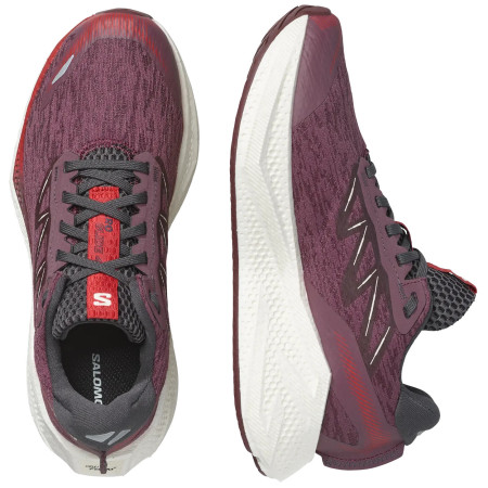 Scarpe da corsa da donna Salomon Aero Glide 4