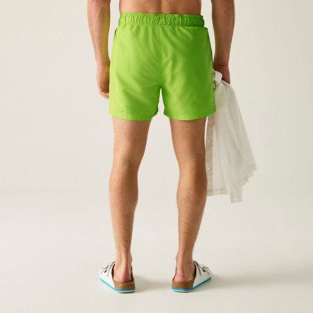 Costume da bagno da uomo Regatta Mawson Swim Shorts III