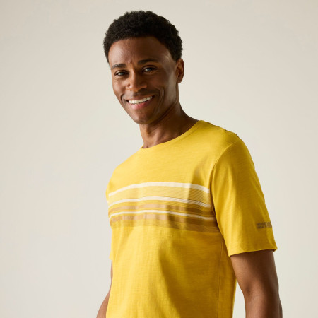 Maglietta da uomo Regatta Rendro