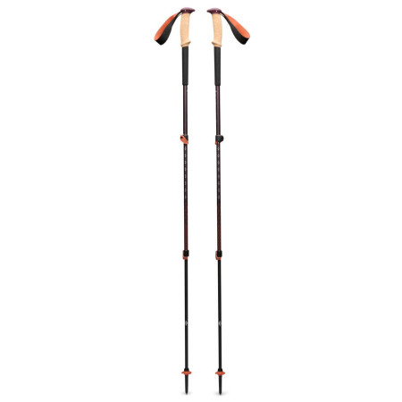 Bastoncini da trekking Black Diamond Trail Cork Trekking Poles