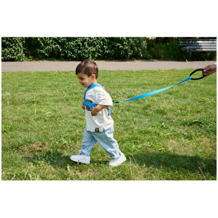 Redinelle di sicurezza LittleLife Toddler Reins Triceratops
