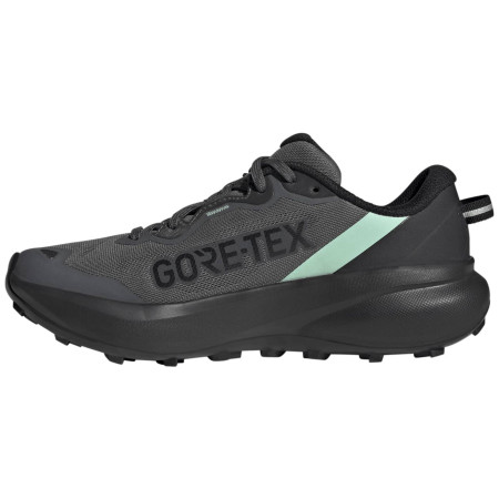 Scarpe da corsa da donna Adidas Terrex Tracefinder Plus Gtx