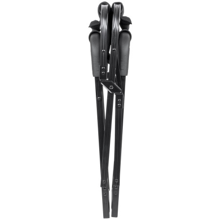 Poltrona Brunner Aravel Director 3D