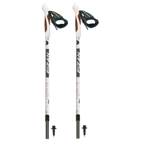 Bastoncini Fizan NW Fitness grigio/nero