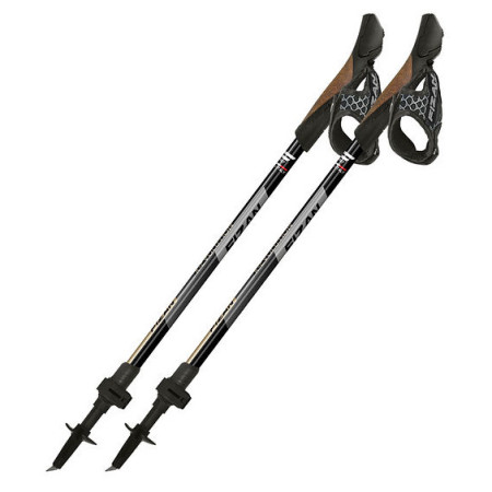 Bastoncini da nordic walking Fizan R-Evolution