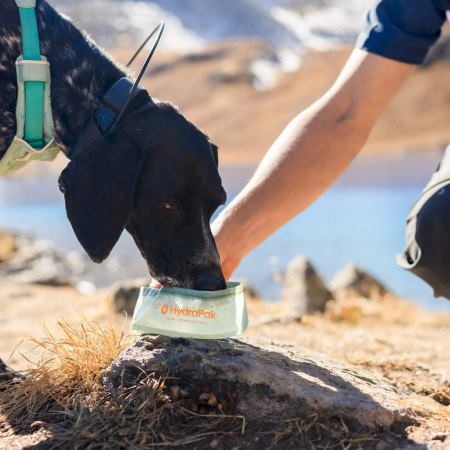 Ciotola pieghevole Hydrapak Rover Dog Bowl