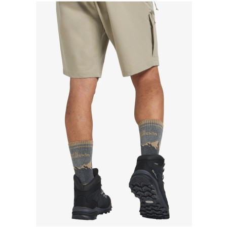 Scarpe da uomo Jack Wolfskin Refugio Texapore Mid M