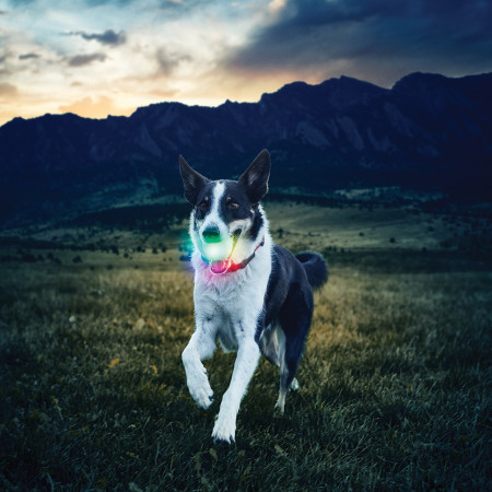 Giocattolo per cane Nite Ize Glowstreak LED Ball