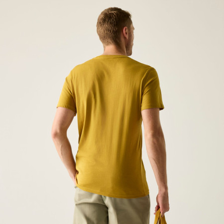 Maglietta da uomo Regatta Breezed