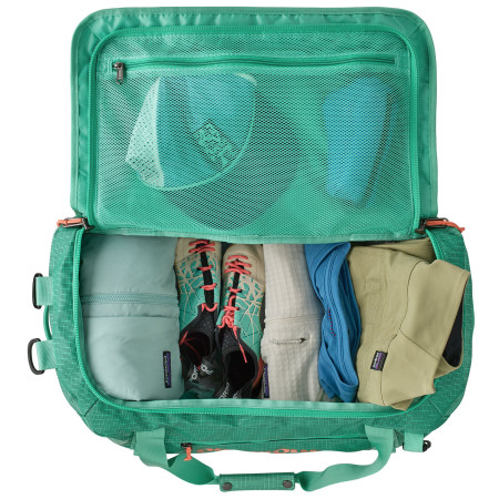 Borsa da viaggio Patagonia Black Hole Duffel 40L