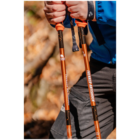 Bastoncini da trekking Zulu Trekker Antishock