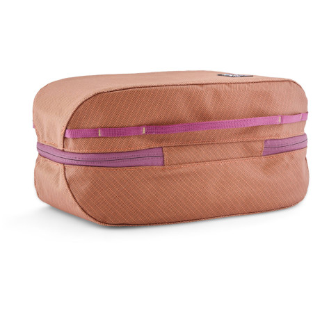 Custodia da viaggio Patagonia Black Hole Cube 6L