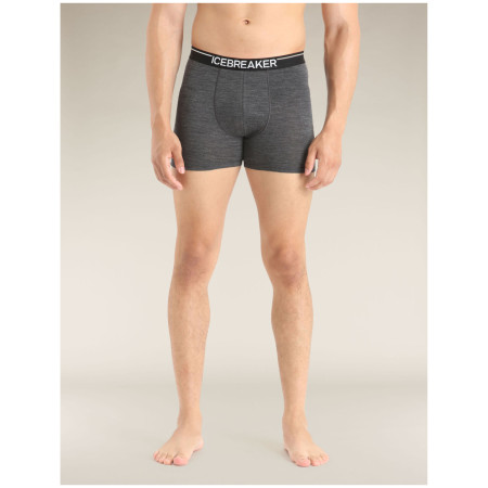 Boxer da uomo Icebreaker Mens Anatomica Boxers