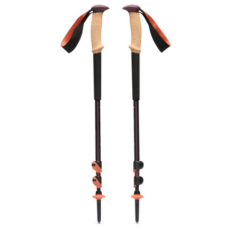 Bastoncini da trekking Black Diamond Trail Cork Trekking Poles