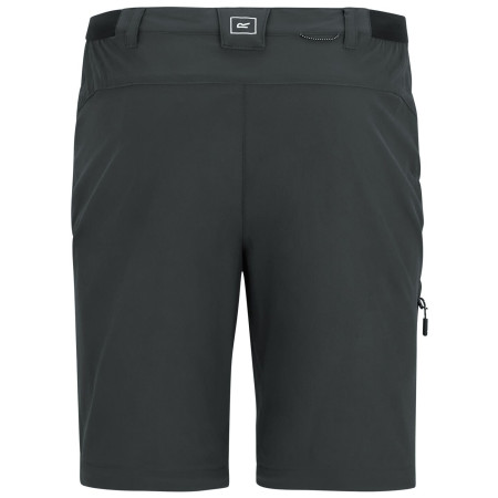 Pantaloni da uomo Regatta Anti-Insect Travel Light Z/O Trousers