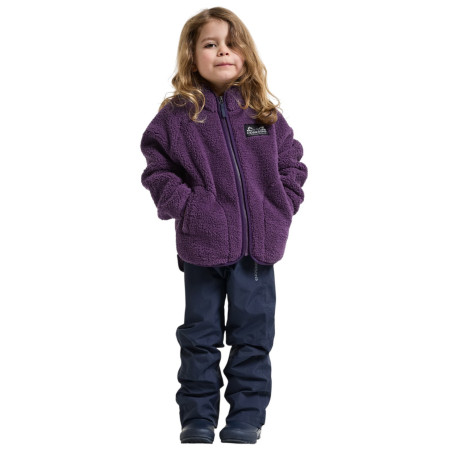 Felpa da bambino Didriksons Gibbs Kids Fullzip 2 Northen Purple