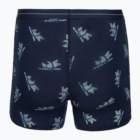 Boxer sportivi da uomo Icebreaker Men M 150 Anatomica Boxers BearTourAOP
