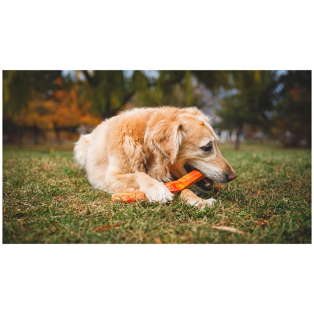 Giocattolo per cane Ruffwear Gnawt-a-Stick™ Toy