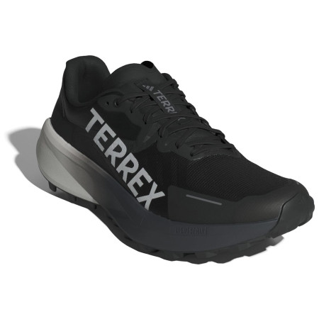 Scarpe da corsa da uomo Adidas Terrex Agravic 3