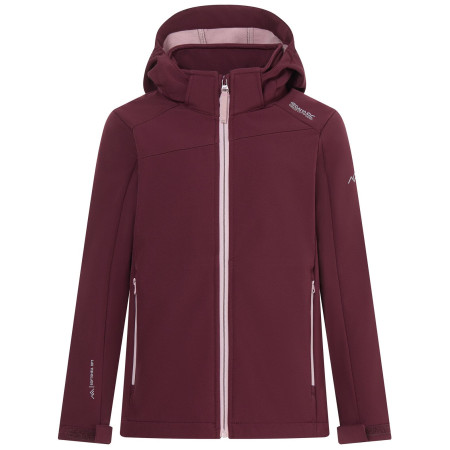 Giacca softshell per bambini Regatta Haydenbury Fig viola Fig Powder Lilac