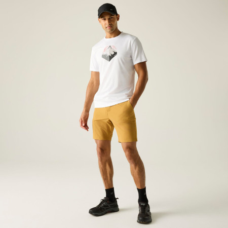 Pantaloncini da uomo Regatta Anti-Insect Travel Light Shorts