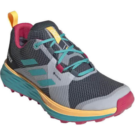 Scarpe da donna Adidas Terrex Two Gtx W