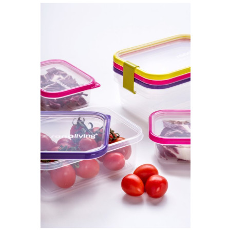 Scatola per alimenti Omada Sanaliving Box Set 3x 19x14x13,5cm/2,1L