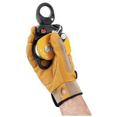 Puleggia Petzl Pro Traxion