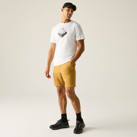 Maglietta da uomo Regatta Fingal Graphic T-Shirt