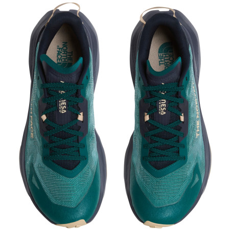Scarpe da corsa da uomo The North Face M Altamesa 300 V2