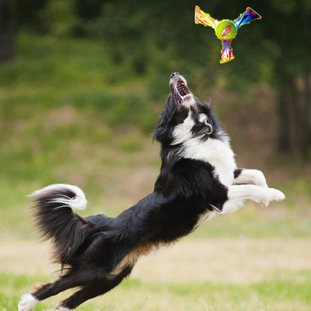 Giocattolo per cane Nerf Dog Color Grip Tri Flyer 20 cm