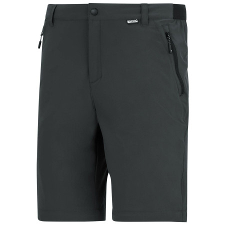 Pantaloni da uomo Regatta Anti-Insect Travel Light Z/O Trousers
