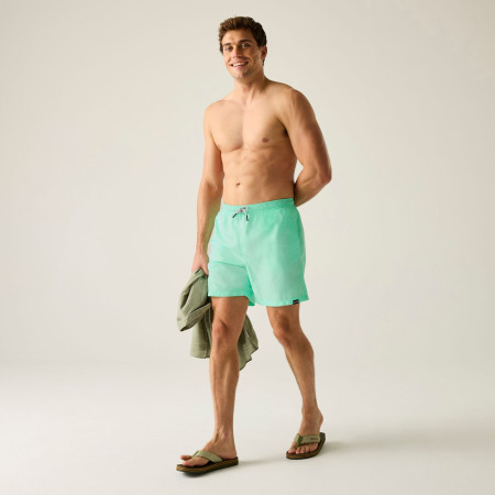 Pantaloncini da uomo Regatta Mackleyna Swim Short