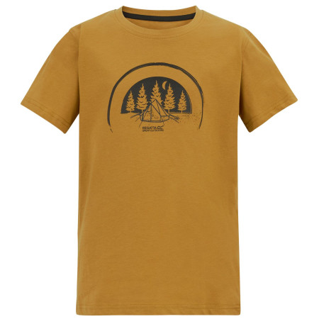 Maglietta da bambino Regatta Bosley Wood Brown marrone Wood Brown