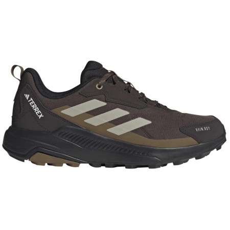 Scarpe da uomo Adidas Terrex Anylander R.Rdy